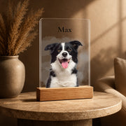 Acrylglas Mockup 5