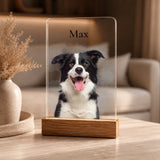 Acrylglas Mockup 4