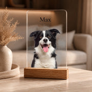 Acrylglas Mockup 4