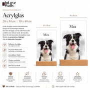 Acrylglas Produktdatenbild